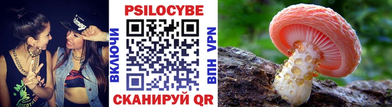 Псилоцибиновые грибы Psilocybe  Плавск 